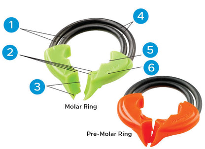 DualForce™ Pre-Molar Rings